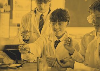Make Your MARK: Become a Trustee