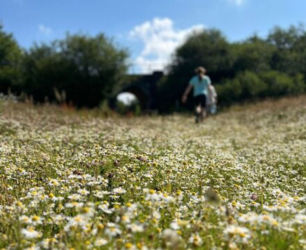 PHOTO 2026 07 16 15 34 53 (3)