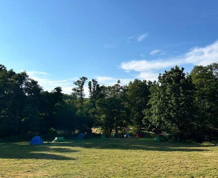 Image1 (4)